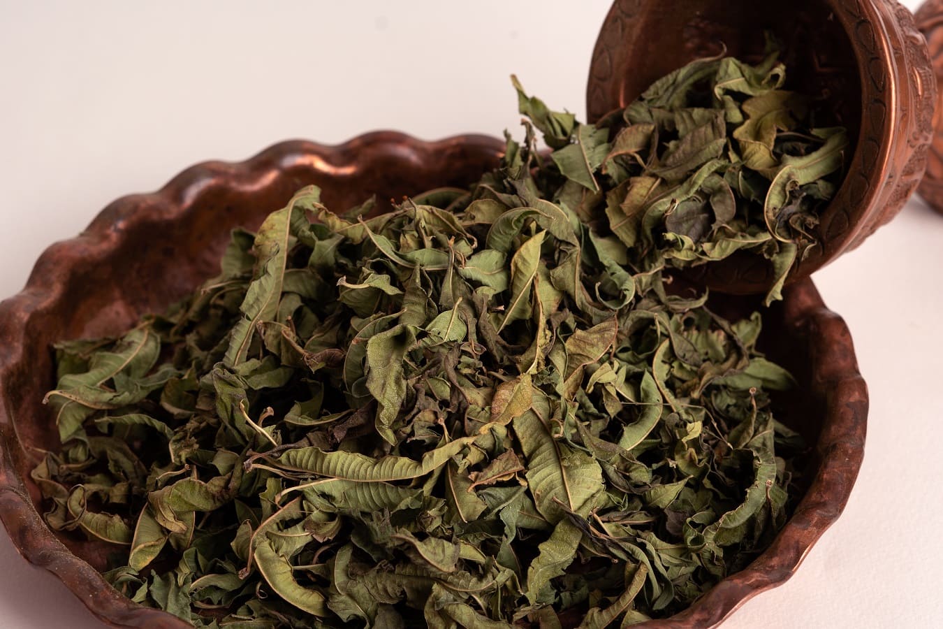 Lemon Beebrush